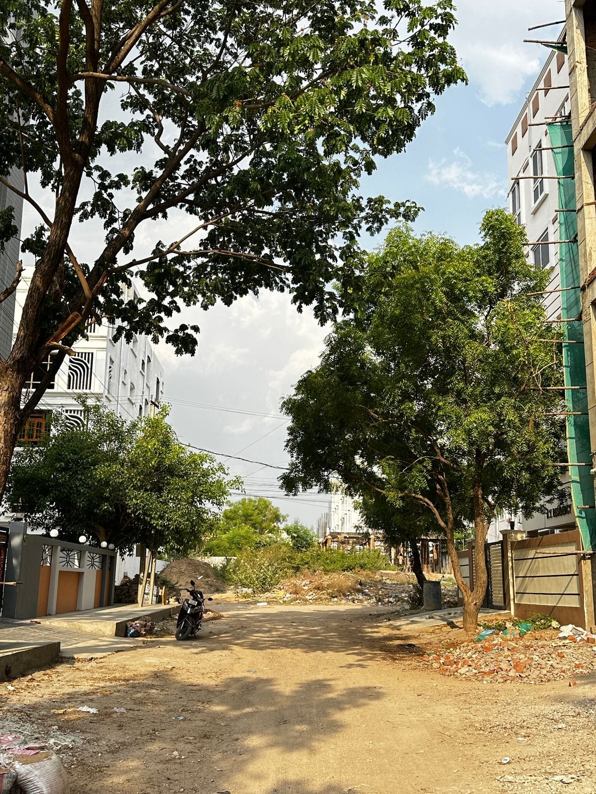 Plot view