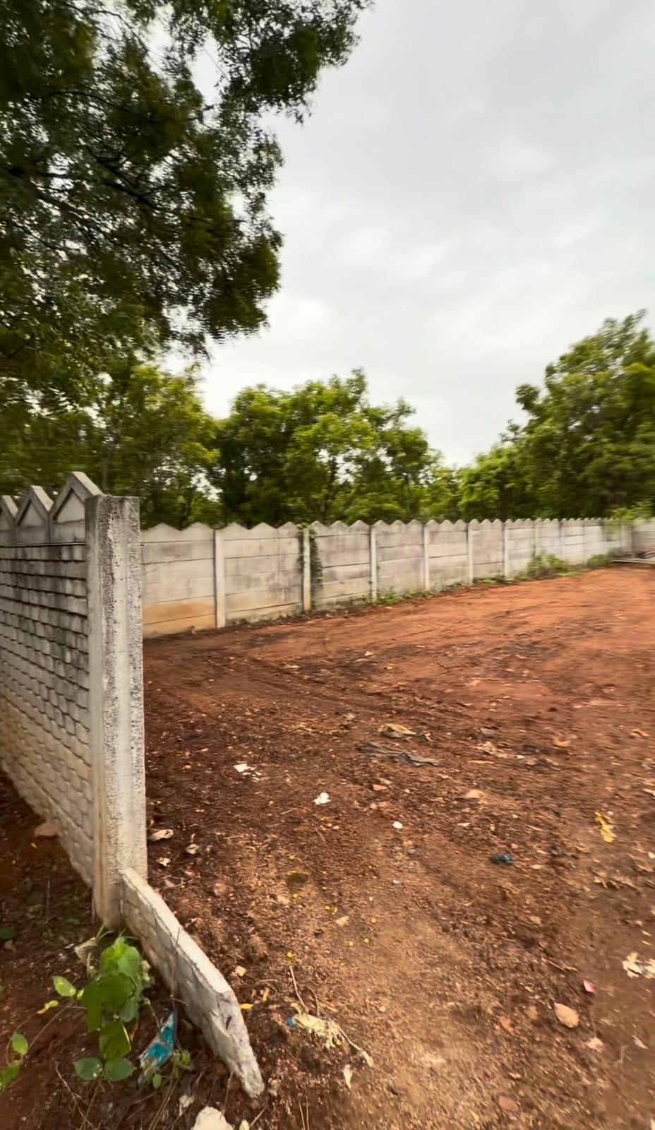 PLOT VIEW 2
