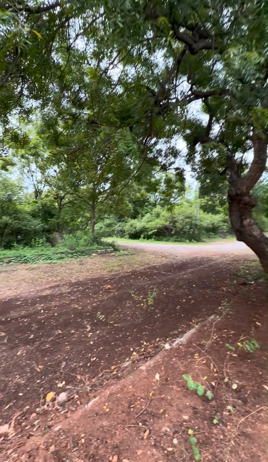 ROAD SIDE VIEW