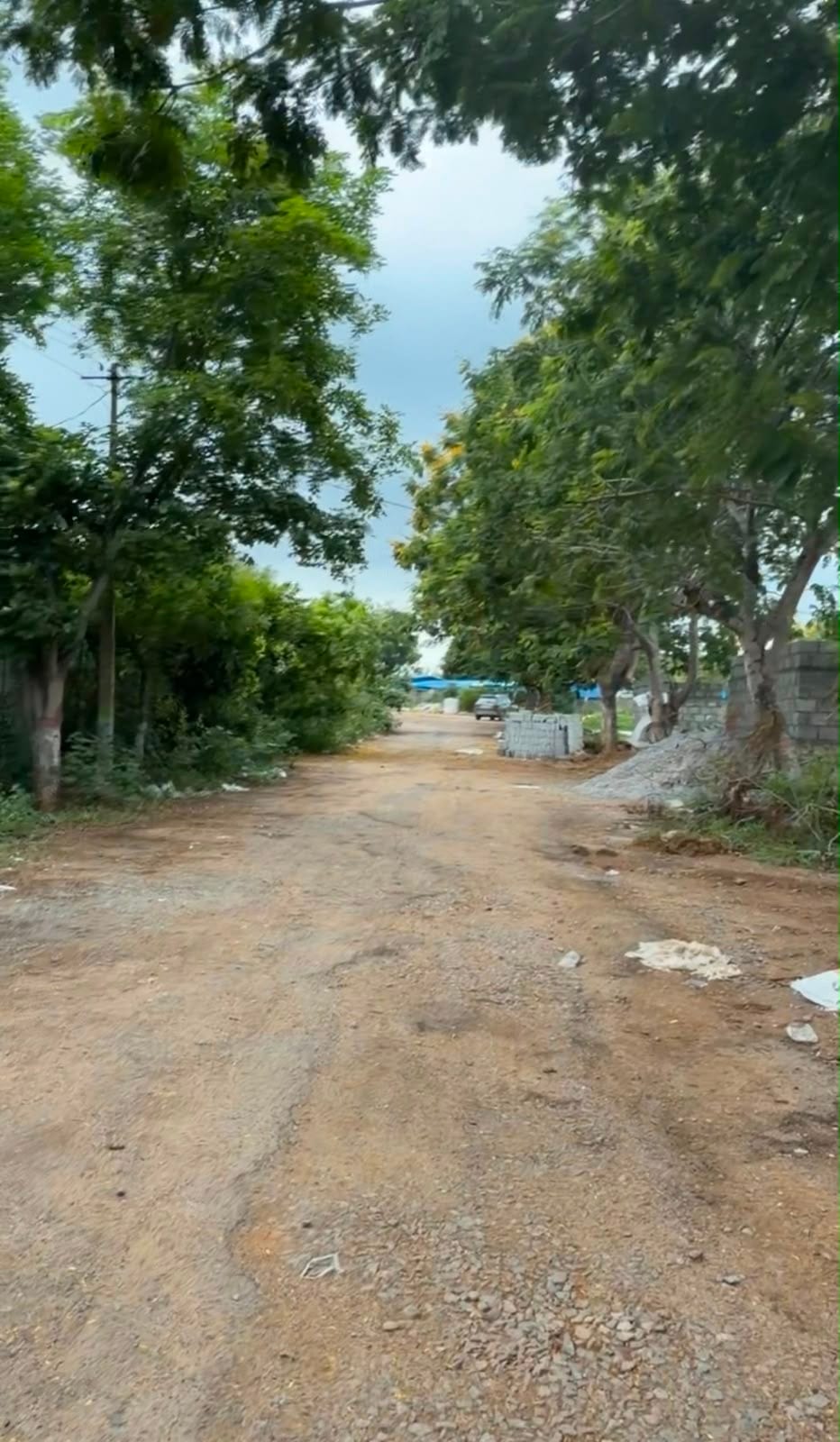 ROAD SIDE VIEW
